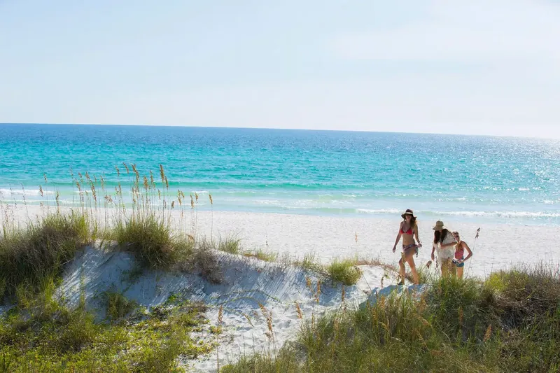 White sand dunes and sea oats along the Gulf shoreline
